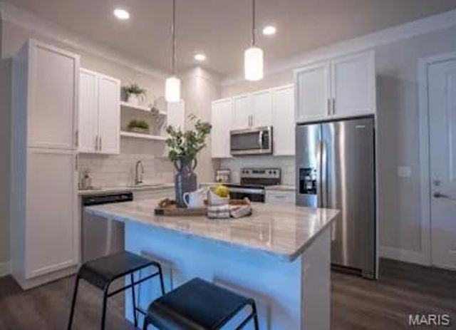 226 E Lockwood Avenue 206, St Louis, MO 63119