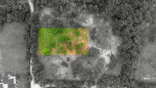 TBD Lot 2 Cr-147, Gainesville, TX 76240