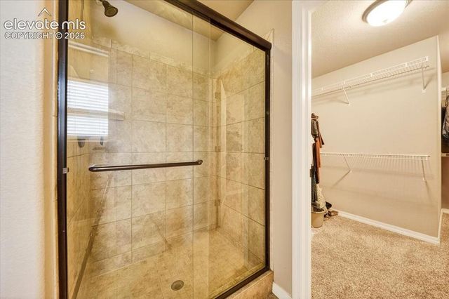 7208 Cat Tail Creek Drive, Colorado Springs, CO 80923