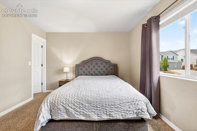 7208 Cat Tail Creek Drive, Colorado Springs, CO 80923