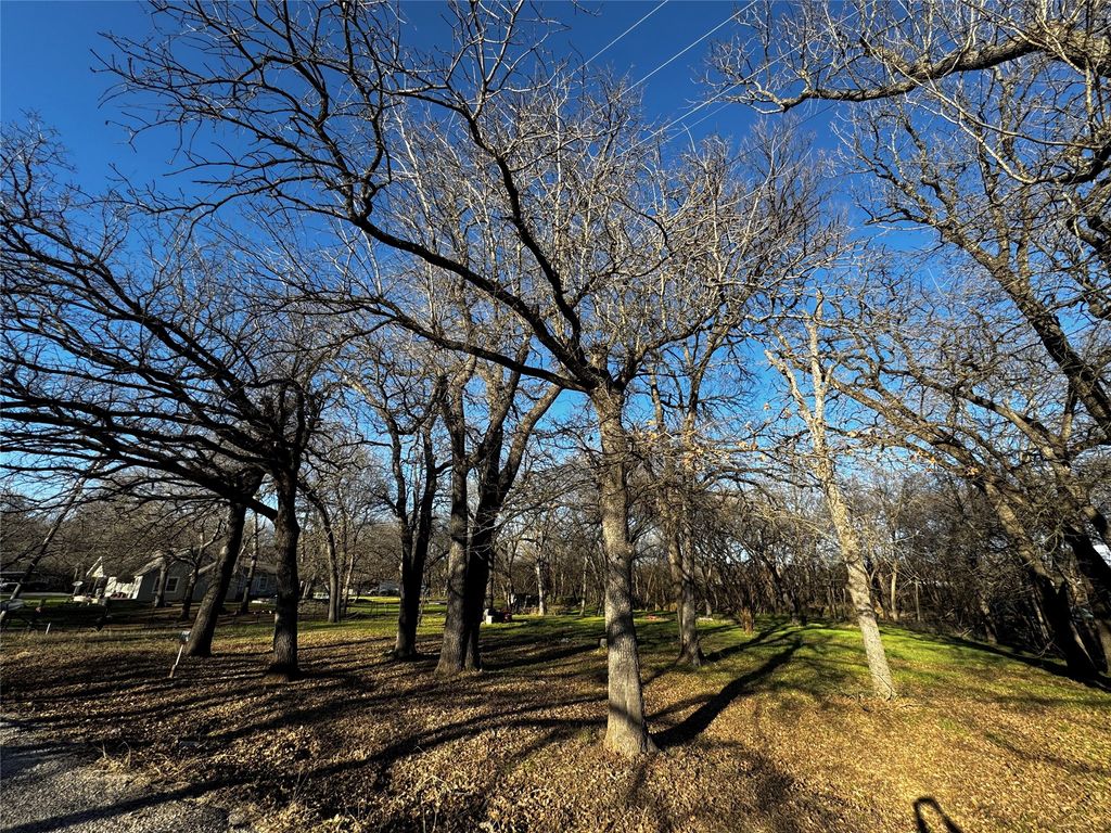 175 Quail Haven Street, Alvarado, TX 76009 — photo 3