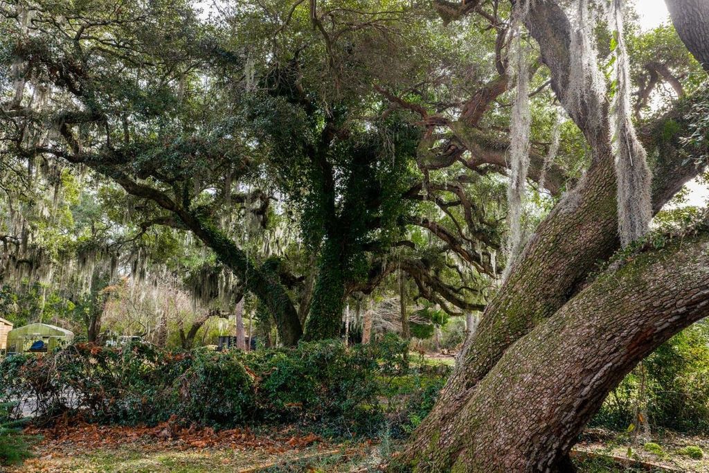 10670 Ocean Hwy., Pawleys Island, SC 29585 — photo 3