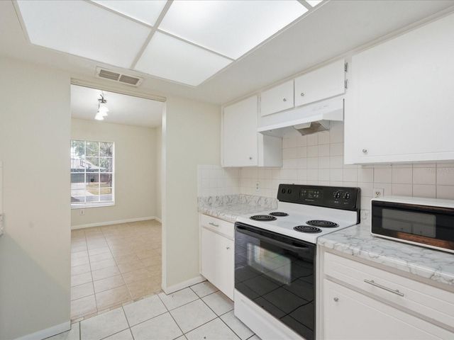 13317 LAKE GEORGE LANE, Tampa, FL 33618