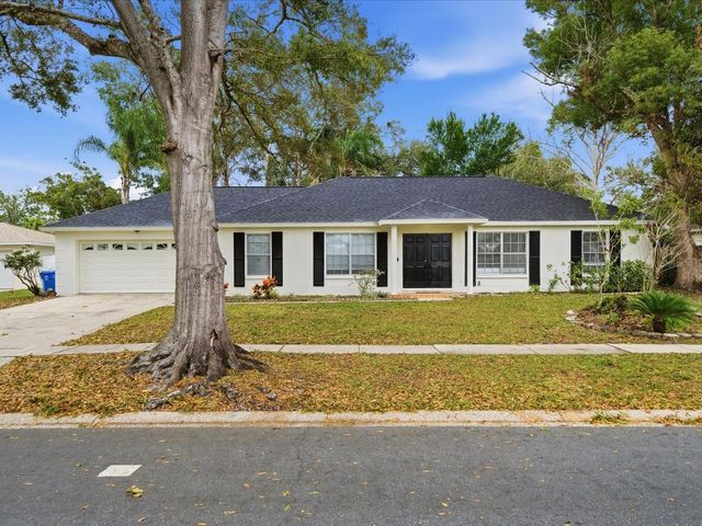 13317 LAKE GEORGE LANE, Tampa, FL 33618