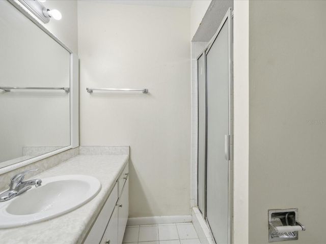 13317 LAKE GEORGE LANE, Tampa, FL 33618