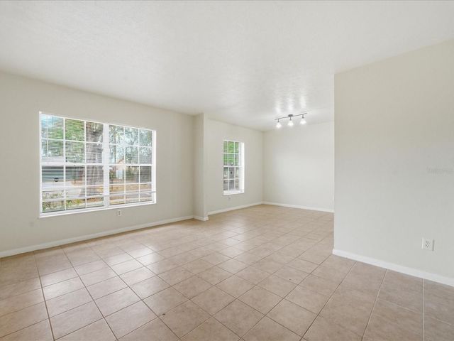 13317 LAKE GEORGE LANE, Tampa, FL 33618