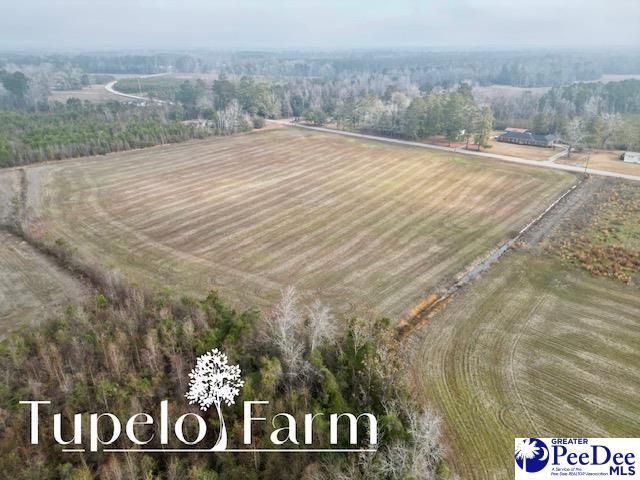 TBD W Lynhurst Rd, Lot 8, Pamplico, SC 29583