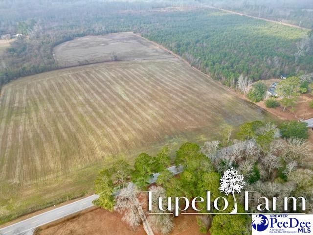 TBD W Lynhurst Rd, Lot 8, Pamplico, SC 29583