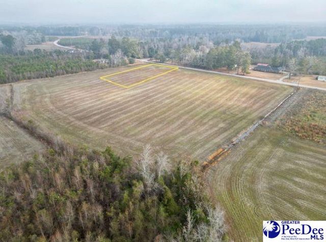 TBD W Lynhurst Rd, Lot 8, Pamplico, SC 29583