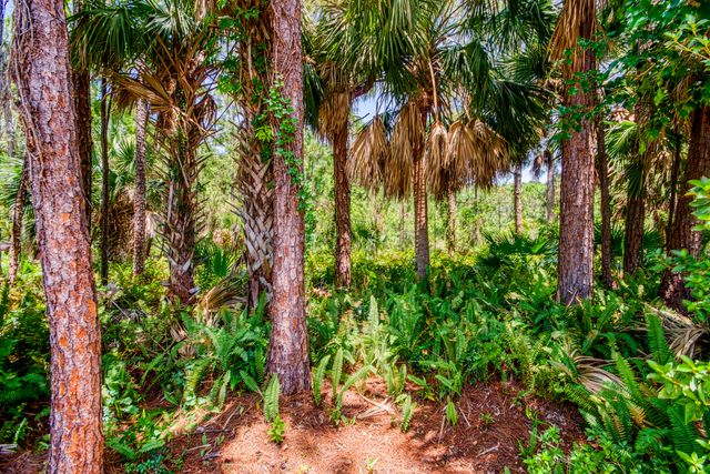 18828 Still Lake Drive, Jupiter, FL 33458