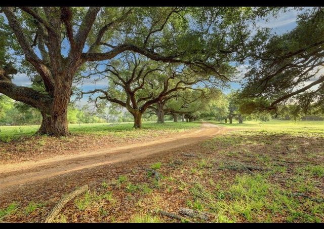 9304 Cedar Bnd Court, Plantersville, TX 77363