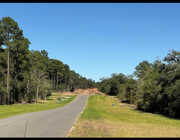 9304 Cedar Bnd Court, Plantersville, TX 77363