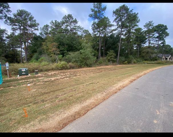 9304 Cedar Bnd Court, Plantersville, TX 77363