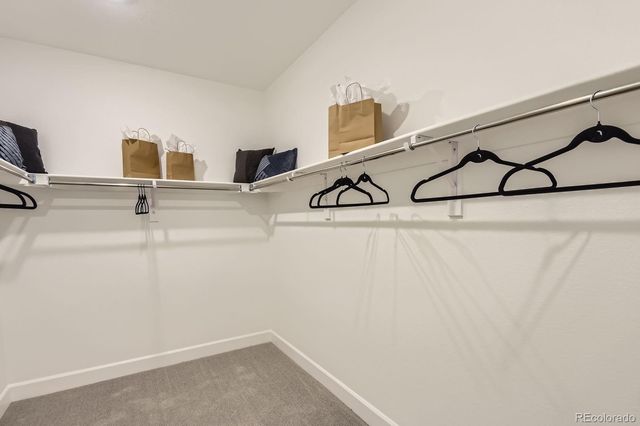 13792 Daffodil Point, Parker, CO 80134