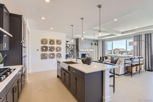 13792 Daffodil Point, Parker, CO 80134