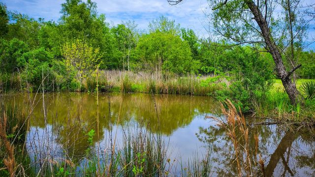 40902 Sh 105, Batson, TX 77519