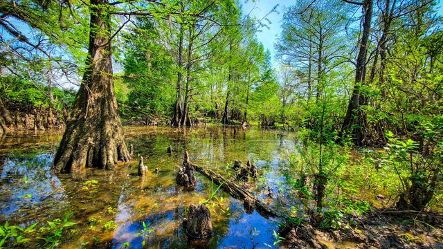 40902 Sh 105, Batson, TX 77519