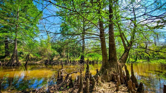 40902 Sh 105, Batson, TX 77519