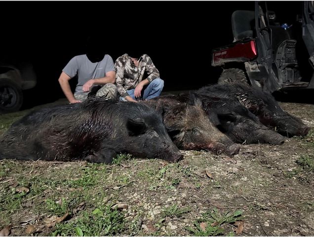 40902 Sh 105, Batson, TX 77519