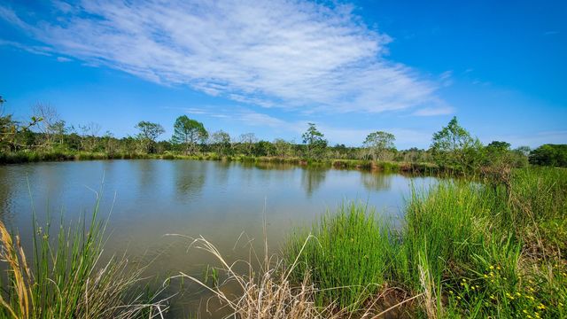 40902 Sh 105, Batson, TX 77519