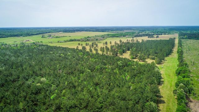 40902 Sh 105, Batson, TX 77519