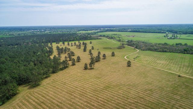 40902 Sh 105, Batson, TX 77519