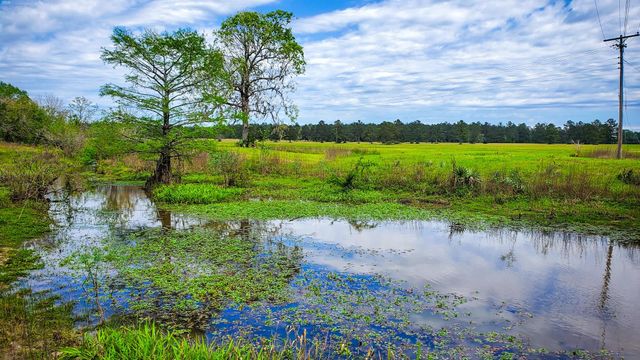 40902 Sh 105, Batson, TX 77519