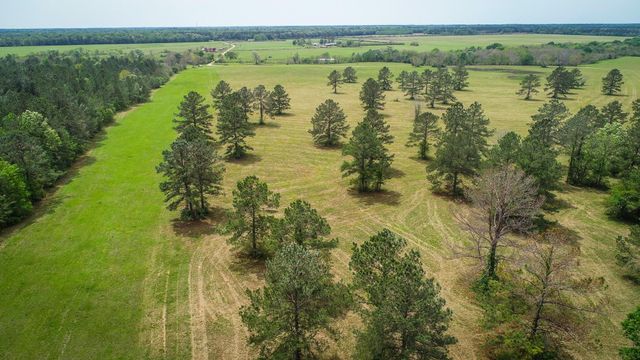 40902 Sh 105, Batson, TX 77519