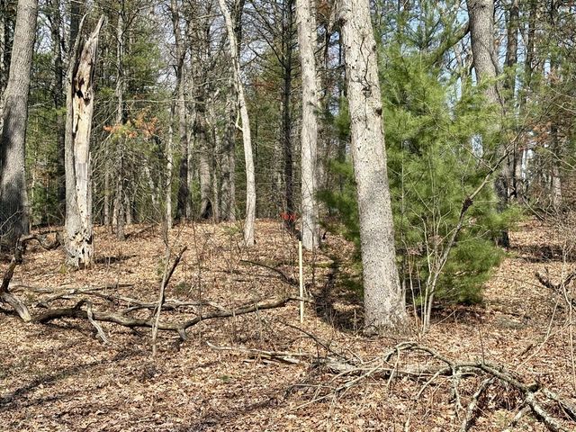 7920 E Lake Road, Twin Lake, MI 49457