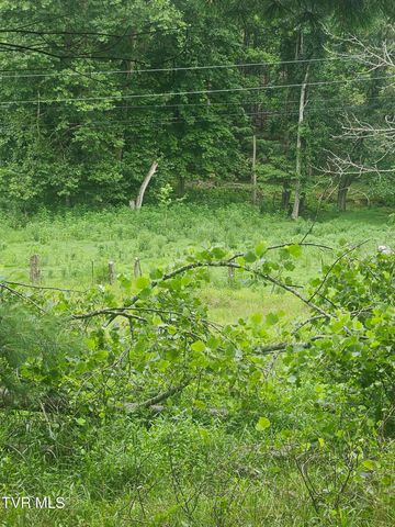 4916 Jasper Road, Duffield, VA 24244