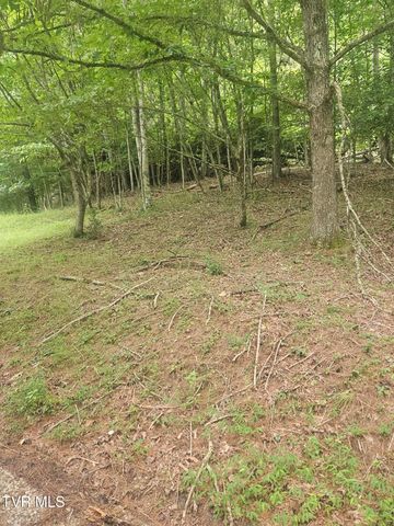 4916 Jasper Road, Duffield, VA 24244