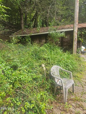 4916 Jasper Road, Duffield, VA 24244