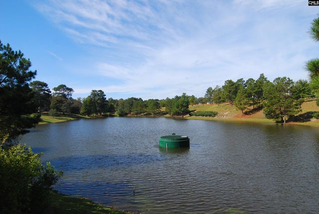 882 Heartleaf Drive, Columbia, SC 29229