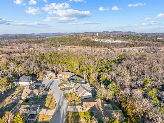 136 Moberly Mill Road, Branson, MO 65616