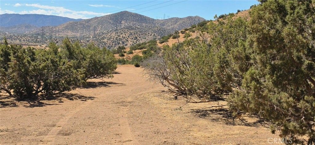 0 Berncastle Road, Acton, CA 93510 — photo 5