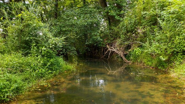 1738 Highway 411, Old Fort, TN 37362