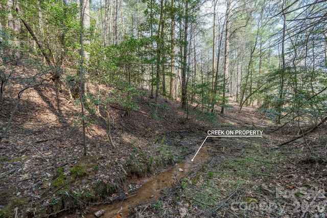 40 Turtle Head Drive, Nebo, NC 28761