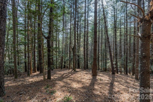 40 Turtle Head Drive, Nebo, NC 28761