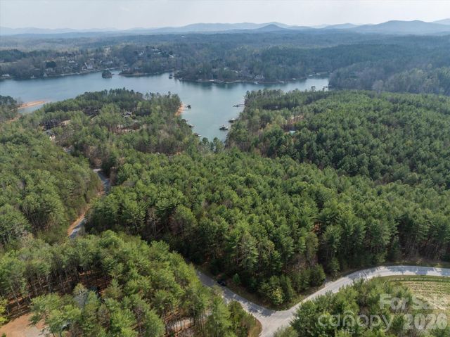 40 Turtle Head Drive, Nebo, NC 28761
