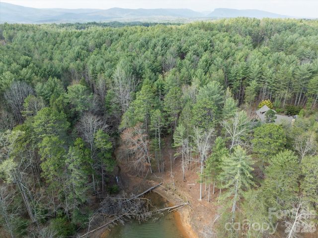 40 Turtle Head Drive, Nebo, NC 28761