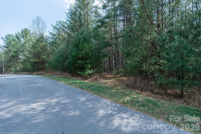 40 Turtle Head Drive, Nebo, NC 28761