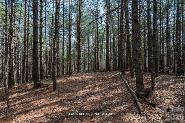 40 Turtle Head Drive, Nebo, NC 28761
