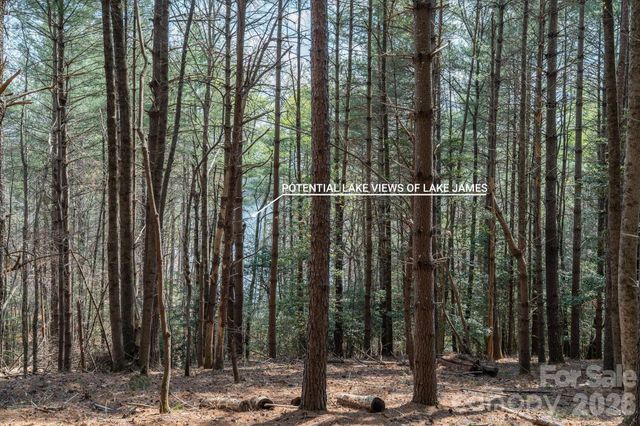 40 Turtle Head Drive, Nebo, NC 28761