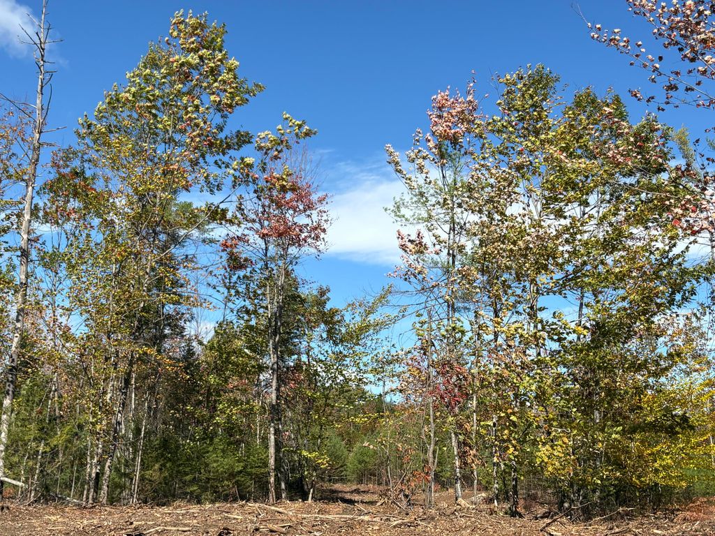 0 Edes Falls Road, Harrison, ME 04040 — photo 4