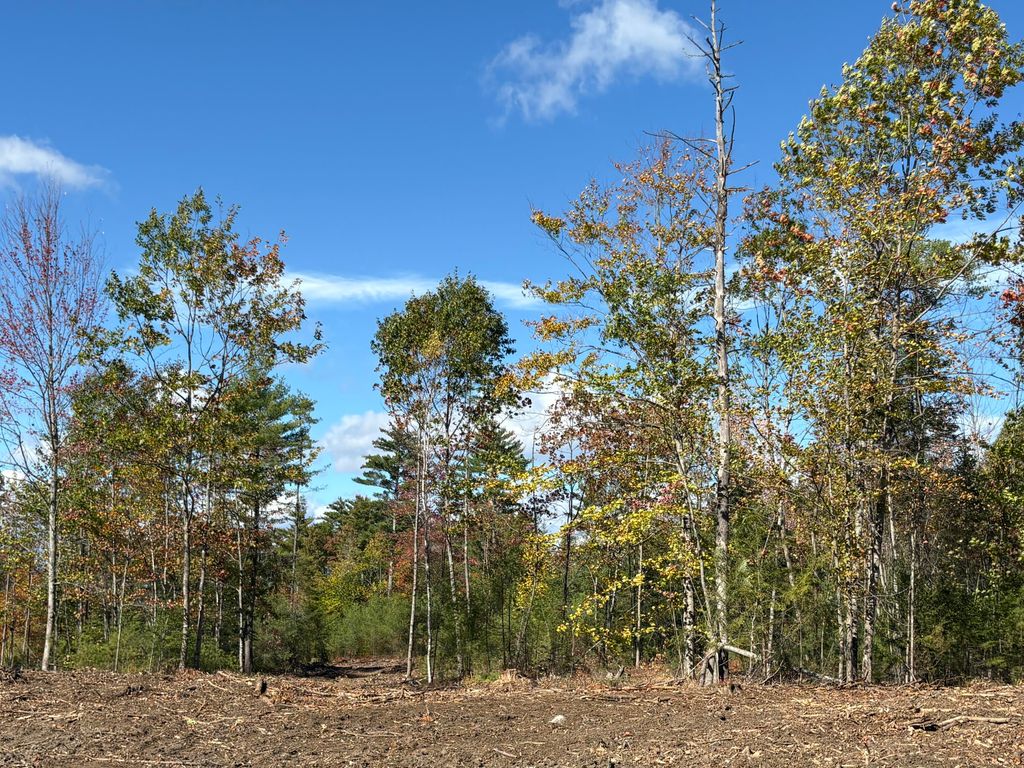 0 Edes Falls Road, Harrison, ME 04040 — photo 5