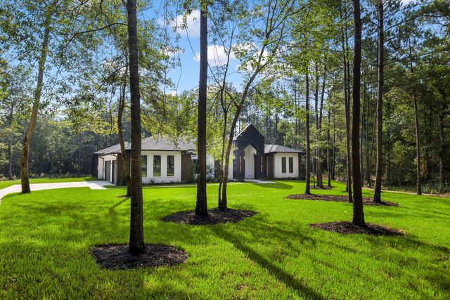 15868 Wooded Trail Way, Willis, TX 77378