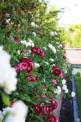 684 S 990 W, Hurricane, UT 84737