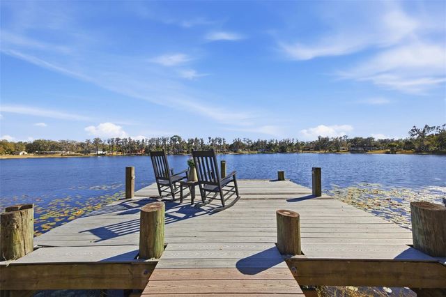 9214 RHEA DRIVE, Odessa, FL 33556