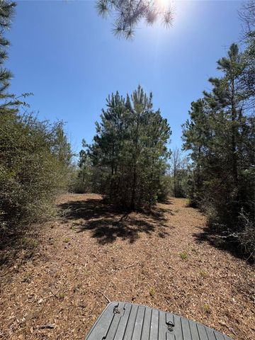 00 County Road 4180, Lovelady, TX 75851