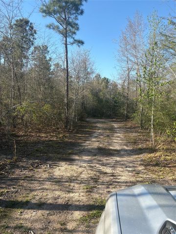 00 County Road 4180, Lovelady, TX 75851